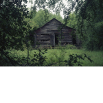 Blox’s Shed