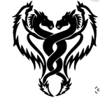 NAGA SOLO