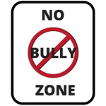 Anti-Bullying Organization