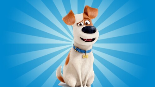 The Secret Life of Pets Obby