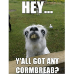 Hey y’all got any corn Bread