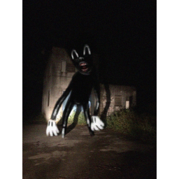 Cartoon Cat