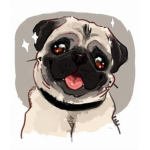 Pug Rxspberry Gamer