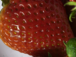 SRAWBERRY FAN<3