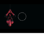 Spiderman Benjamin