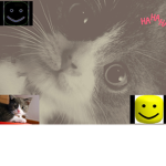 UNITED CATS AND RATS