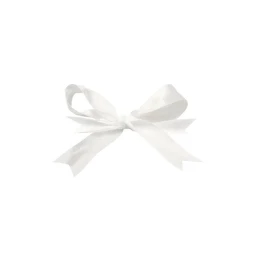 ˚﹒꒷ ︶ ୨୧ ︶ ꒷﹒˚  icon