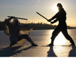 Ninga Sword Fighting