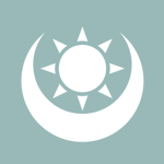 Turkestan Federation | Air Force