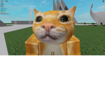 Supreme Cat