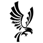 PolAirways