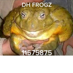 Da hood cash sellling