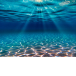 Underneath the ocean!