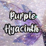 • Purple Hyacinth •