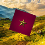 [SRFV] Socialist Republic of Vietnam