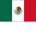 M.P.F (Mexican Protection Forces)