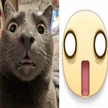 ≽^• ˕ • ྀི≼