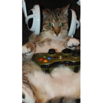 Just vibe and chill and chat
