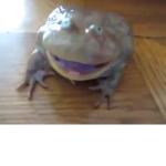 Frogs Unite