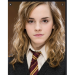 Hermione granger fan hangout