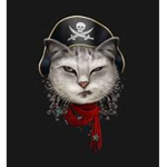 Pirate Gatos