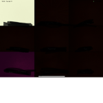 Robux Forrl