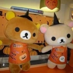 -shy Group Thumbnail