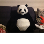 Sammy's panda gang
