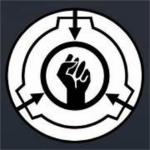 TASK FORCE MANAGEMENT CENTER