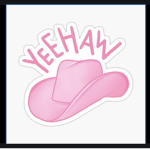 Cowgirl Aesthetics’s