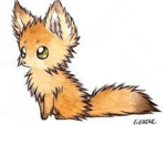 Foxes and Wolves!