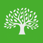 Green Primary School