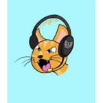 Vinnycats team