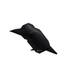 The Raven