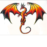 THE #DRAGON SQUAD