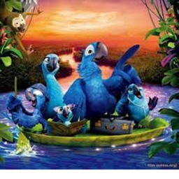 Rio Runner!