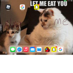 Hey I’m kiara and I like fat cats
