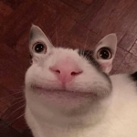 Darf der Kevin bei mir spielen kommen???