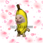 TROLLERS!!!!!!!!!