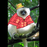 Niko Worshipping Temple