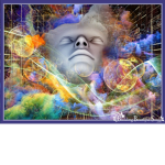 dream the evething