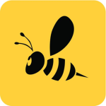 Bee Clothing Creators