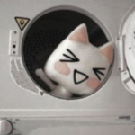 TeamAmiguitosGatitos