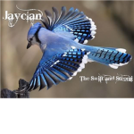 ~~Jayclan~~