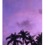 Sunsets vibes