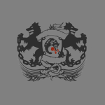 Aesirian Reconnaissance Intelligence Service