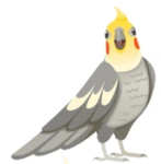 Bird gaming squad