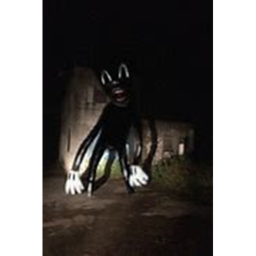 survive cartoon cat!!!
