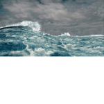 The Neptunian Legion