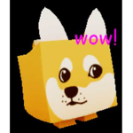 Doge:DDD